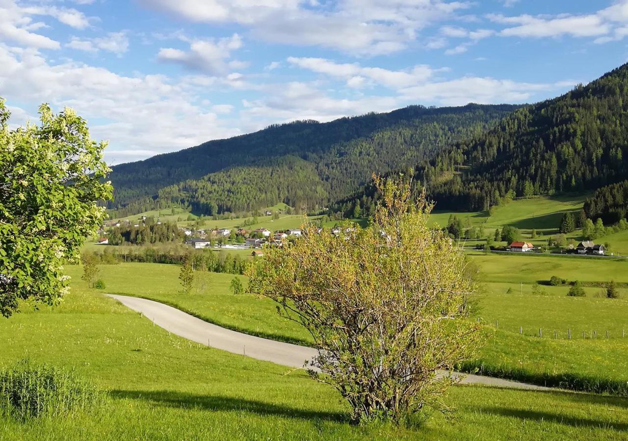 Pension & Ferienwohnung Sonnleiten Gnesau エクステリア 写真